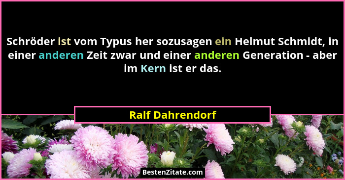 Schröder ist vom Typus her sozusagen ein Helmut Schmidt, in einer anderen Zeit zwar und einer anderen Generation - aber im Kern ist... - Ralf Dahrendorf