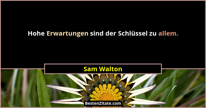 Hohe Erwartungen sind der Schlüssel zu allem.... - Sam Walton