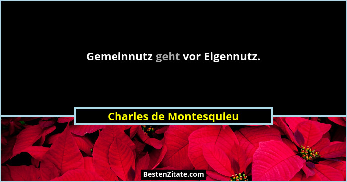Gemeinnutz geht vor Eigennutz.... - Charles de Montesquieu