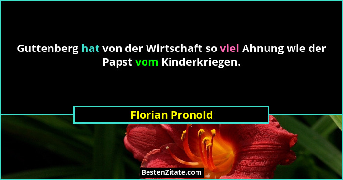 Guttenberg hat von der Wirtschaft so viel Ahnung wie der Papst vom Kinderkriegen.... - Florian Pronold