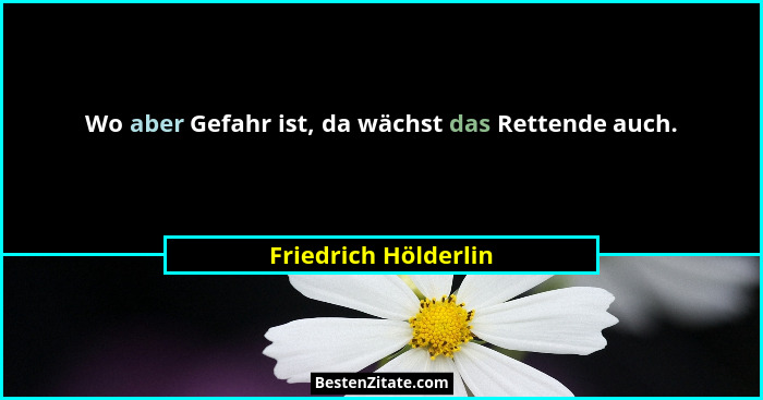 Wo aber Gefahr ist, da wächst das Rettende auch.... - Friedrich Hölderlin