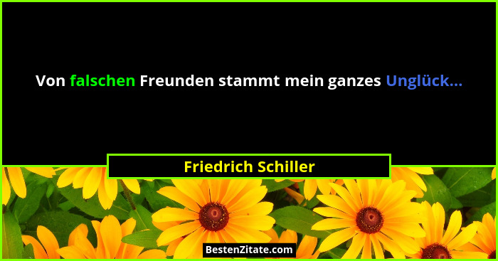 Von falschen Freunden stammt mein ganzes Unglück...... - Friedrich Schiller