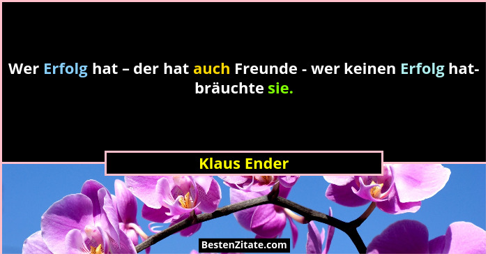 Wer Erfolg hat – der hat auch Freunde - wer keinen Erfolg hat- bräuchte sie.... - Klaus Ender