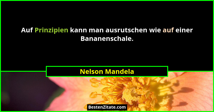 Auf Prinzipien kann man ausrutschen wie auf einer Bananenschale.... - Nelson Mandela