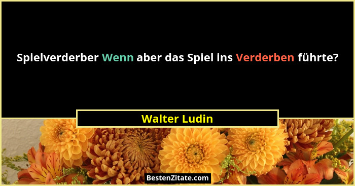 Spielverderber Wenn aber das Spiel ins Verderben führte?... - Walter Ludin
