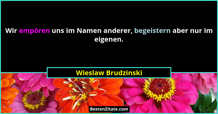 Wir empören uns im Namen anderer, begeistern aber nur im eigenen.... - Wieslaw Brudzinski
