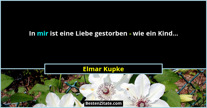 In mir ist eine Liebe gestorben - wie ein Kind...... - Elmar Kupke
