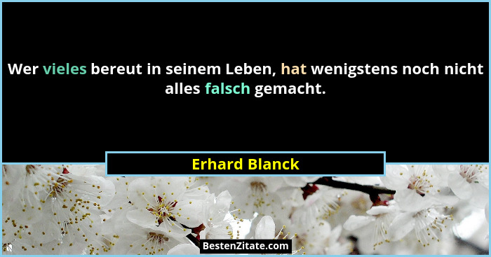 Wer vieles bereut in seinem Leben, hat wenigstens noch nicht alles falsch gemacht.... - Erhard Blanck