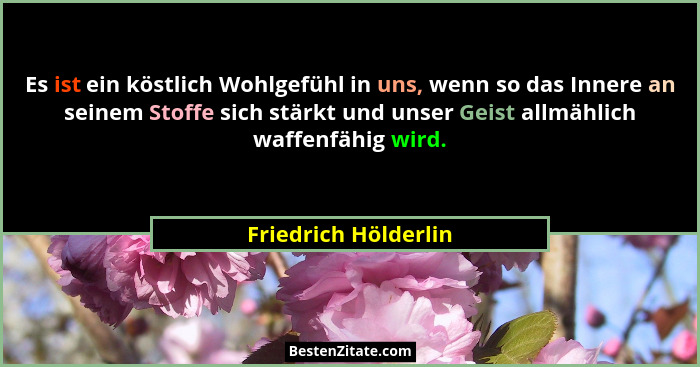 Es ist ein köstlich Wohlgefühl in uns, wenn so das Innere an seinem Stoffe sich stärkt und unser Geist allmählich waffenfähig wi... - Friedrich Hölderlin