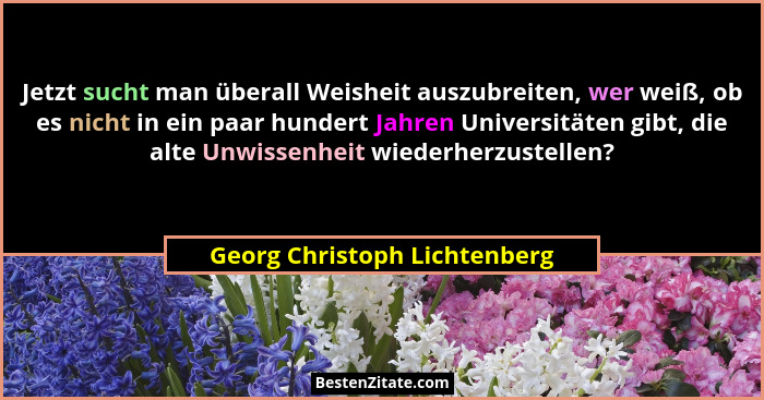 Jetzt sucht man überall Weisheit auszubreiten, wer weiß, ob es nicht in ein paar hundert Jahren Universitäten gibt, die... - Georg Christoph Lichtenberg