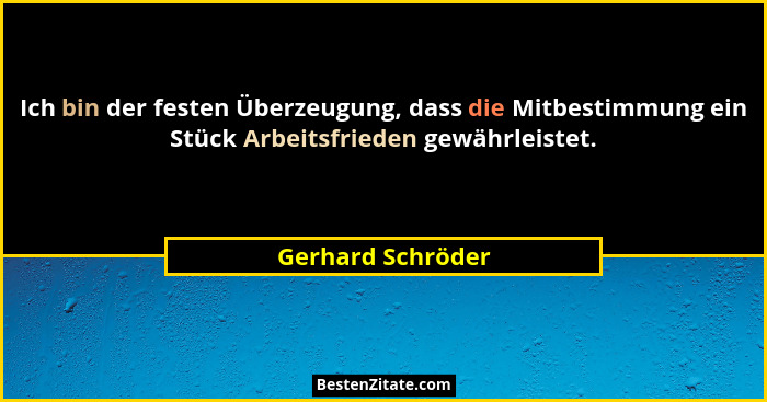 Ich bin der festen Überzeugung, dass die Mitbestimmung ein Stück Arbeitsfrieden gewährleistet.... - Gerhard Schröder
