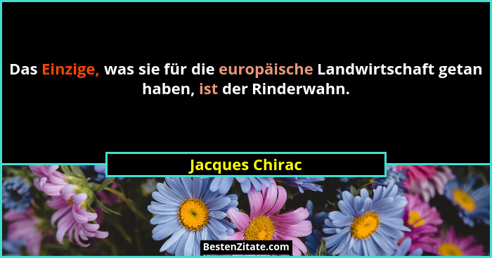 Das Einzige, was sie für die europäische Landwirtschaft getan haben, ist der Rinderwahn.... - Jacques Chirac