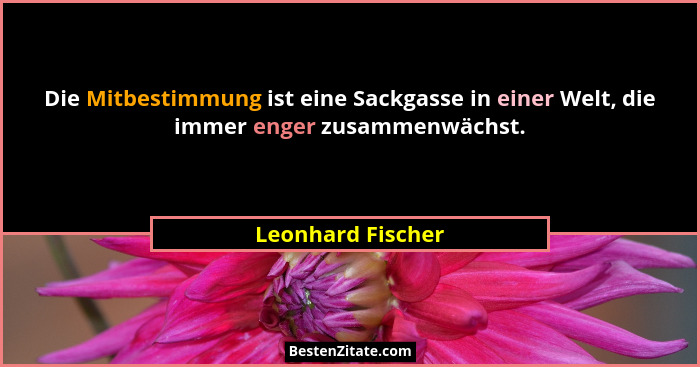 Die Mitbestimmung ist eine Sackgasse in einer Welt, die immer enger zusammenwächst.... - Leonhard Fischer