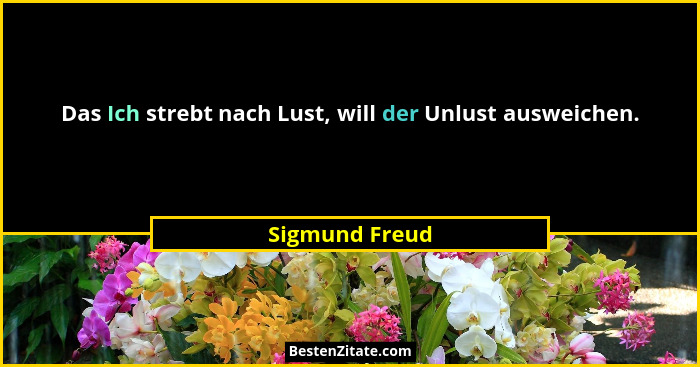 Das Ich strebt nach Lust, will der Unlust ausweichen.... - Sigmund Freud