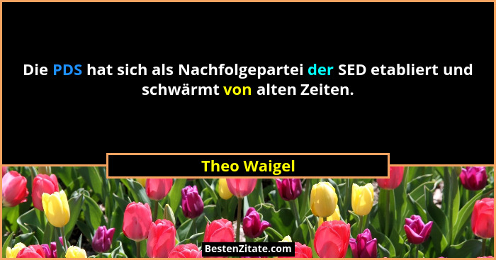 Die PDS hat sich als Nachfolgepartei der SED etabliert und schwärmt von alten Zeiten.... - Theo Waigel
