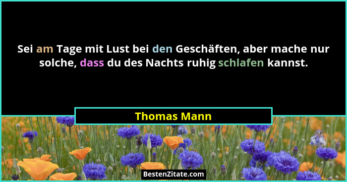 Sei am Tage mit Lust bei den Geschäften, aber mache nur solche, dass du des Nachts ruhig schlafen kannst.... - Thomas Mann
