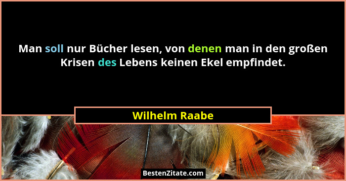 Man soll nur Bücher lesen, von denen man in den großen Krisen des Lebens keinen Ekel empfindet.... - Wilhelm Raabe