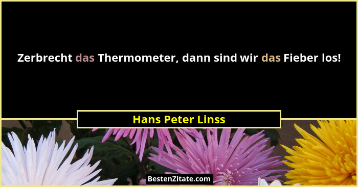 Zerbrecht das Thermometer, dann sind wir das Fieber los!... - Hans Peter Linss