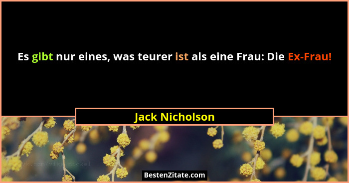 Es gibt nur eines, was teurer ist als eine Frau: Die Ex-Frau!... - Jack Nicholson