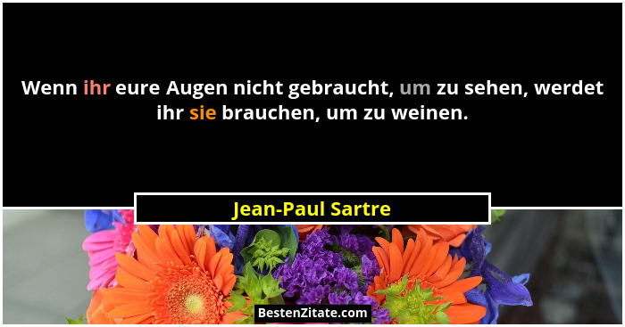 Wenn ihr eure Augen nicht gebraucht, um zu sehen, werdet ihr sie brauchen, um zu weinen.... - Jean-Paul Sartre