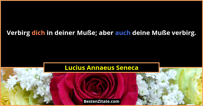 Verbirg dich in deiner Muße; aber auch deine Muße verbirg.... - Lucius Annaeus Seneca