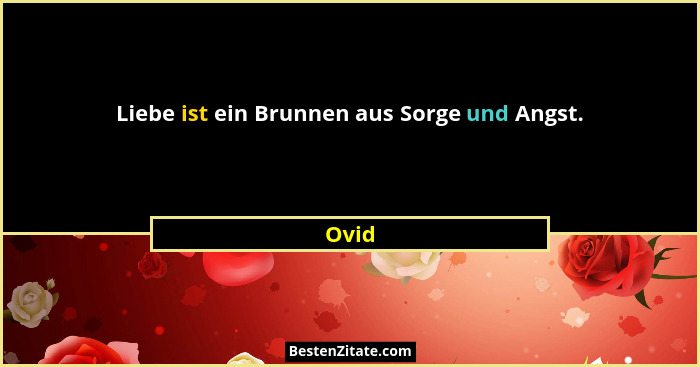 Liebe ist ein Brunnen aus Sorge und Angst.... - Ovid