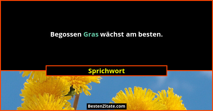 Begossen Gras wächst am besten.... - Sprichwort