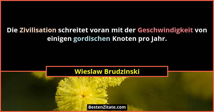 Die Zivilisation schreitet voran mit der Geschwindigkeit von einigen gordischen Knoten pro Jahr.... - Wieslaw Brudzinski