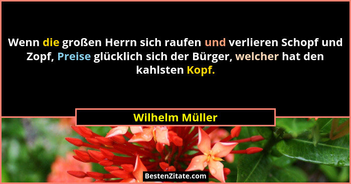 Wenn die großen Herrn sich raufen und verlieren Schopf und Zopf, Preise glücklich sich der Bürger, welcher hat den kahlsten Kopf.... - Wilhelm Müller