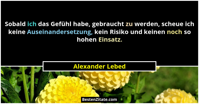Sobald ich das Gefühl habe, gebraucht zu werden, scheue ich keine Auseinandersetzung, kein Risiko und keinen noch so hohen Einsatz.... - Alexander Lebed