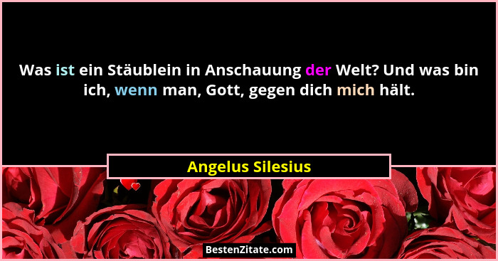 Was ist ein Stäublein in Anschauung der Welt? Und was bin ich, wenn man, Gott, gegen dich mich hält.... - Angelus Silesius