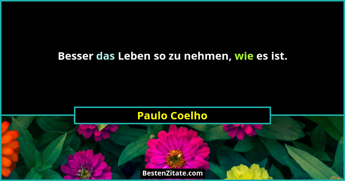 Besser das Leben so zu nehmen, wie es ist.... - Paulo Coelho