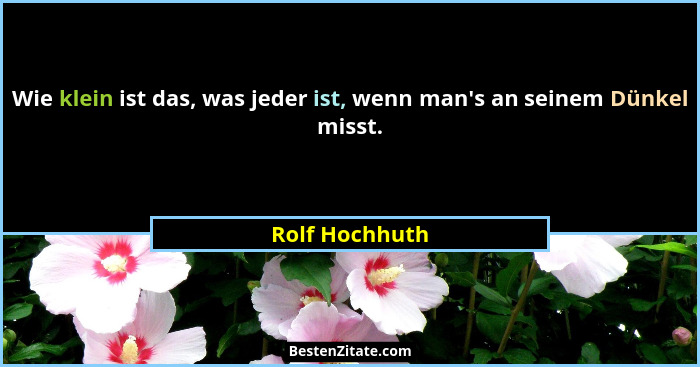 Wie klein ist das, was jeder ist, wenn man's an seinem Dünkel misst.... - Rolf Hochhuth