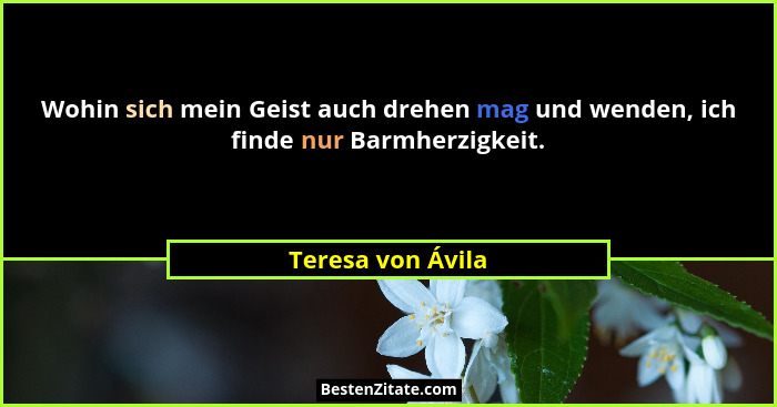Wohin sich mein Geist auch drehen mag und wenden, ich finde nur Barmherzigkeit.... - Teresa von Ávila