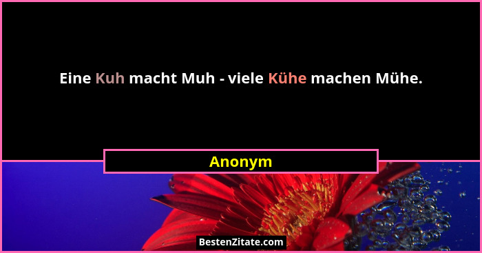 Eine Kuh macht Muh - viele Kühe machen Mühe.... - Anonym
