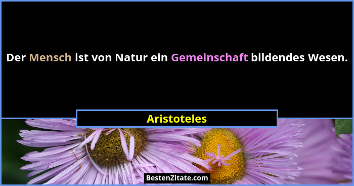 Der Mensch ist von Natur ein Gemeinschaft bildendes Wesen.... - Aristoteles
