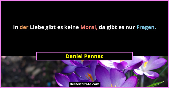 In der Liebe gibt es keine Moral, da gibt es nur Fragen.... - Daniel Pennac