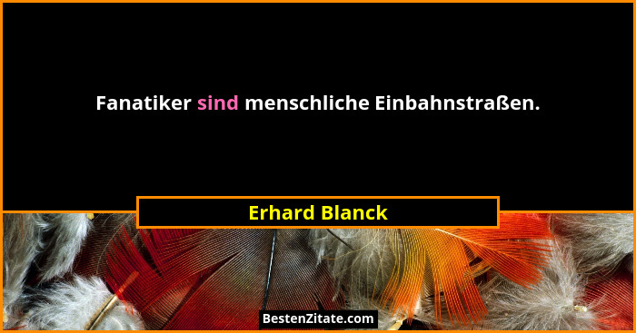 Fanatiker sind menschliche Einbahnstraßen.... - Erhard Blanck