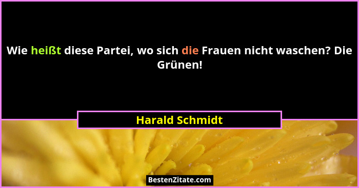 Wie heißt diese Partei, wo sich die Frauen nicht waschen? Die Grünen!... - Harald Schmidt