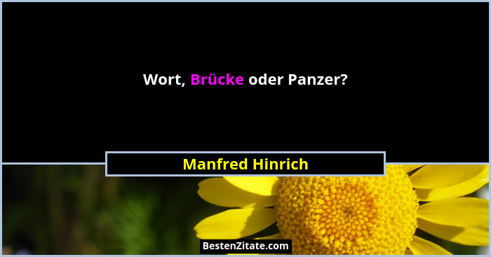 Wort, Brücke oder Panzer?... - Manfred Hinrich