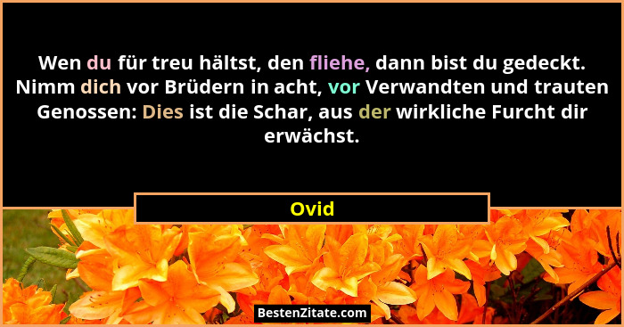Wen du für treu hältst, den fliehe, dann bist du gedeckt. Nimm dich vor Brüdern in acht, vor Verwandten und trauten Genossen: Dies ist die Scha... - Ovid