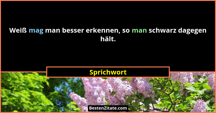 Weiß mag man besser erkennen, so man schwarz dagegen hält.... - Sprichwort