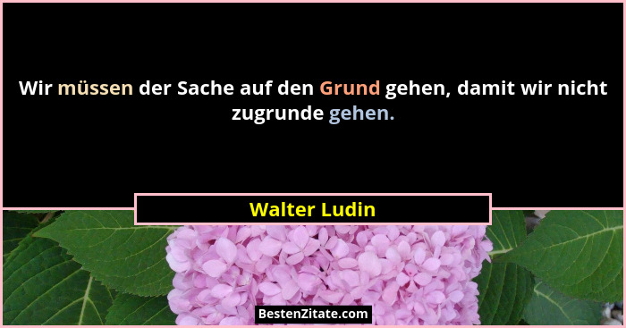 Wir müssen der Sache auf den Grund gehen, damit wir nicht zugrunde gehen.... - Walter Ludin