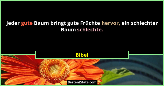 Jeder gute Baum bringt gute Früchte hervor, ein schlechter Baum schlechte.... - Bibel
