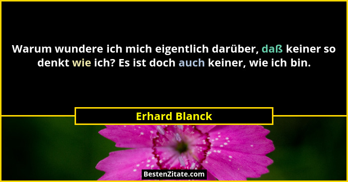Warum wundere ich mich eigentlich darüber, daß keiner so denkt wie ich? Es ist doch auch keiner, wie ich bin.... - Erhard Blanck