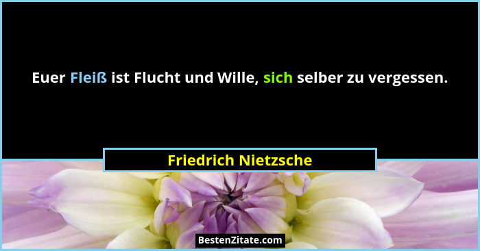 Euer Fleiß ist Flucht und Wille, sich selber zu vergessen.... - Friedrich Nietzsche