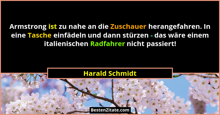 Armstrong ist zu nahe an die Zuschauer herangefahren. In eine Tasche einfädeln und dann stürzen - das wäre einem italienischen Radfah... - Harald Schmidt