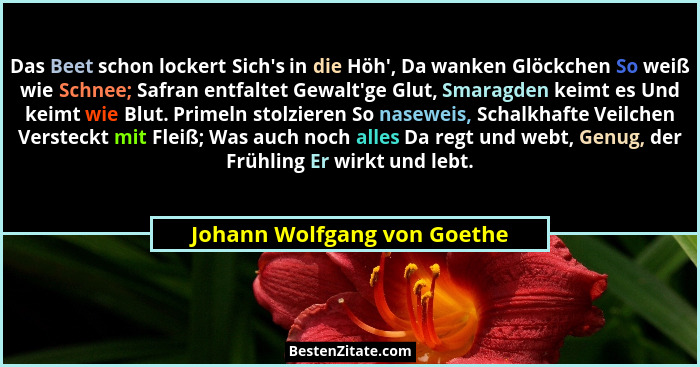 Das Beet schon lockert Sich's in die Höh', Da wanken Glöckchen So weiß wie Schnee; Safran entfaltet Gewalt'ge... - Johann Wolfgang von Goethe