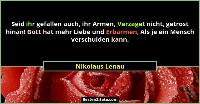 Seid ihr gefallen auch, ihr Armen, Verzaget nicht, getrost hinan! Gott hat mehr Liebe und Erbarmen, Als je ein Mensch verschulden kan... - Nikolaus Lenau