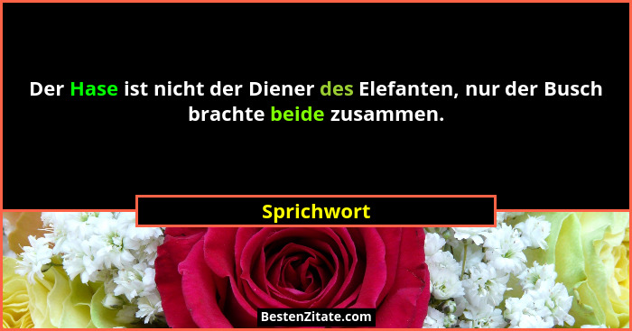Der Hase ist nicht der Diener des Elefanten, nur der Busch brachte beide zusammen.... - Sprichwort